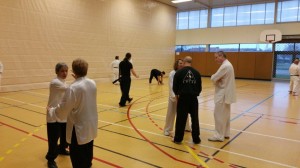 hunggarnancy-artsmartiaux-wushu-kungfu-passage-duan-19decembre2015-2  